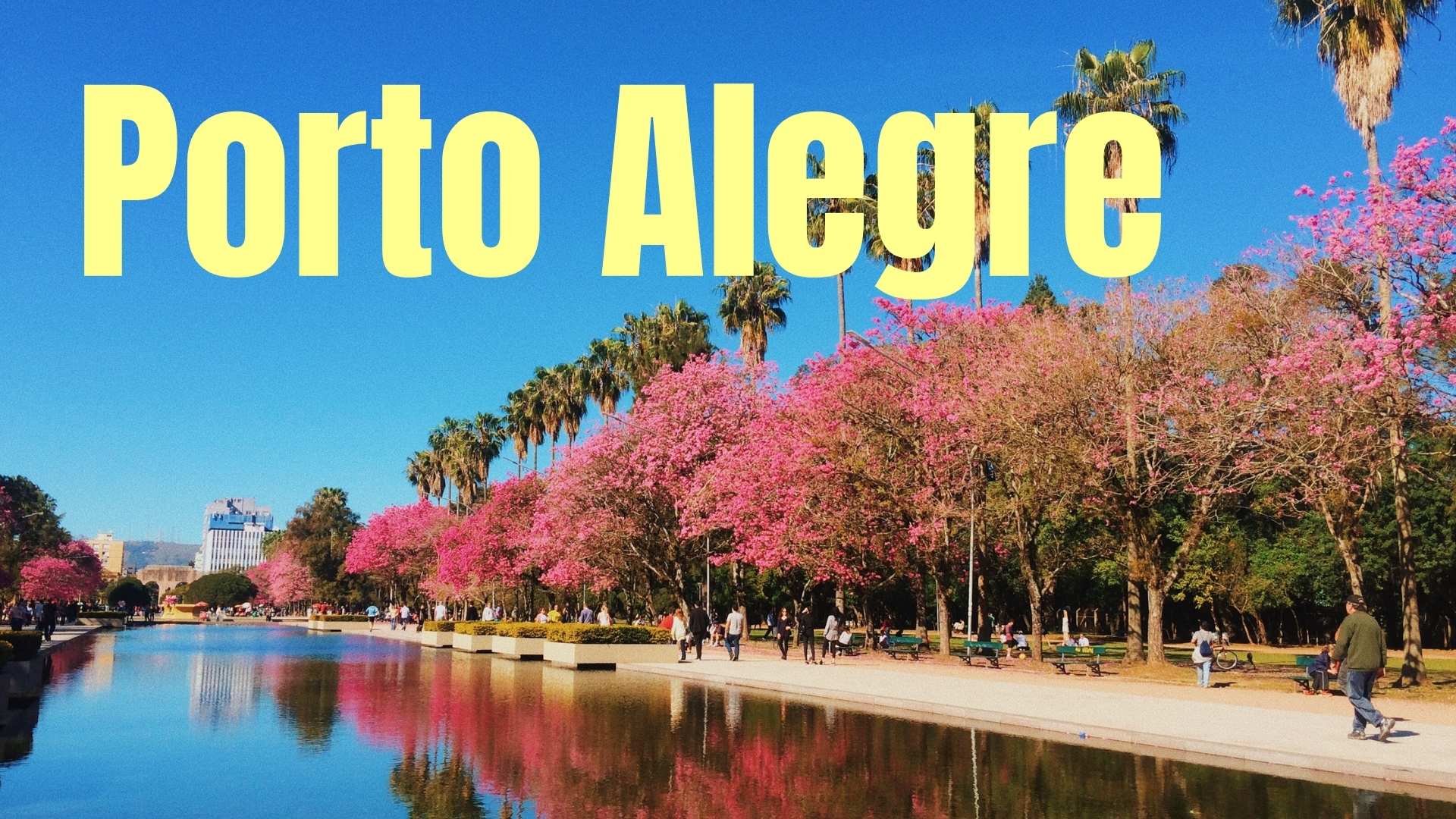Vista do Parque Farroupilha (Redenção) em Porto Alegre com céu azul, árvores floridas com ipês-rosas, palmeiras imperiais e o espelho d’água refletindo a paisagem. Pessoas caminham e aproveitam o dia ensolarado. Texto 'Porto Alegre' em destaque.