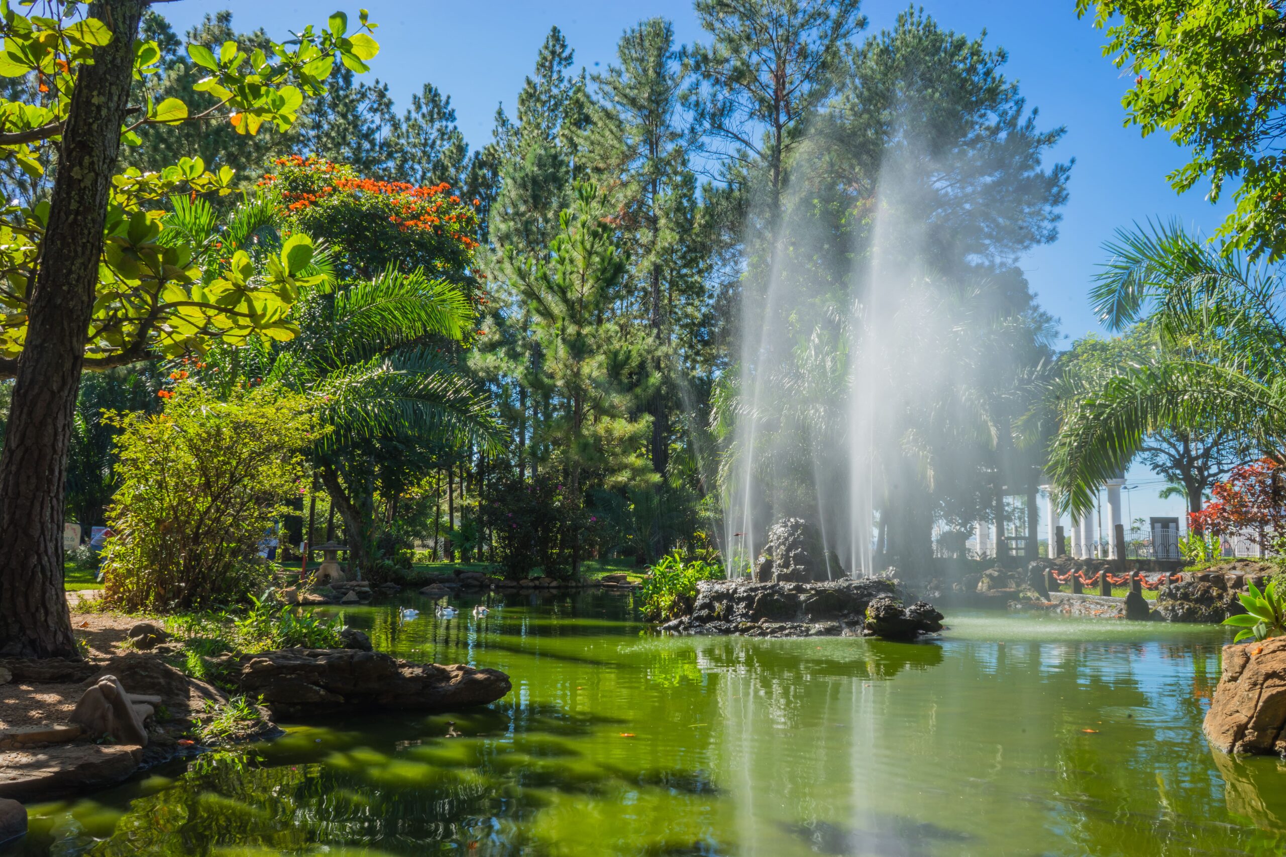 lago com chafariz e jardim exuberante em parque de caldas novas ideal para passeio em família na baixa temporada.