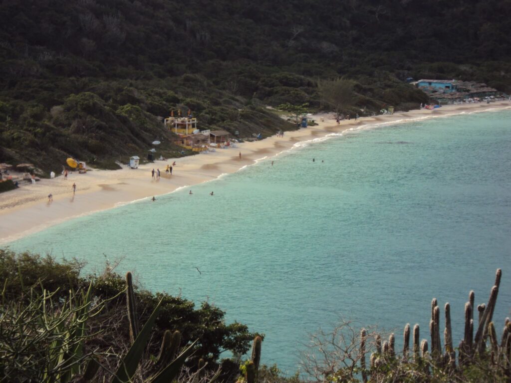 vista aérea da praia do forno em arraial do cabo com água esverdeada, banhistas e cactos na encosta.